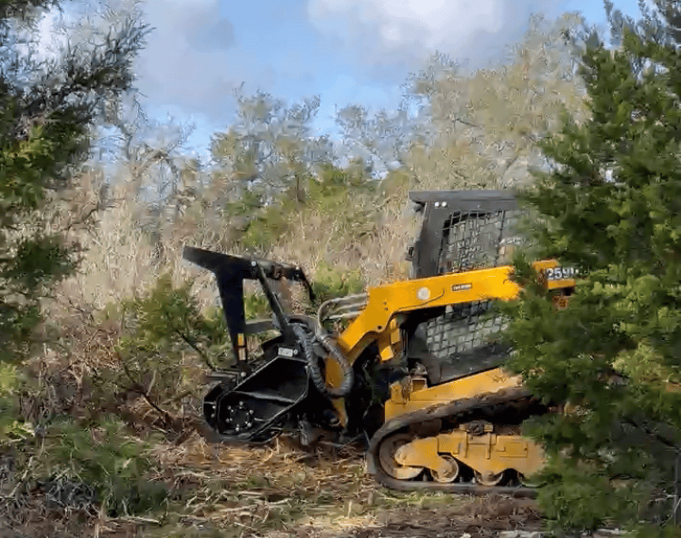 a skid steer operator with a forestry mower attachment