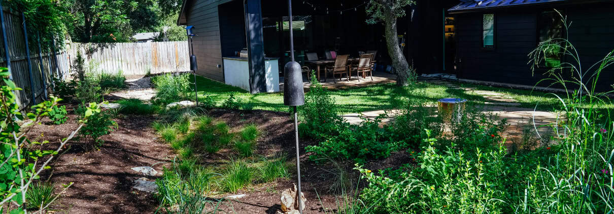 rain garden