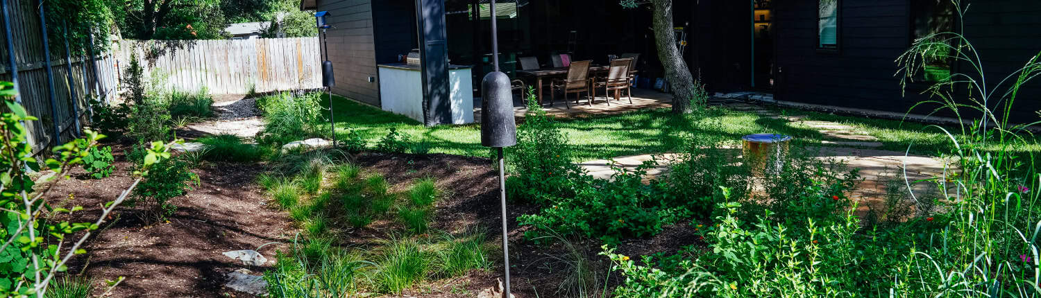rain garden