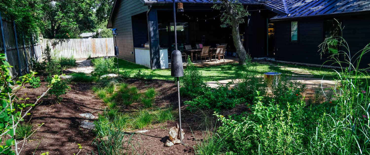 rain garden