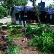 rain garden