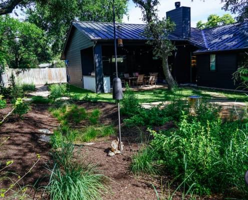 rain garden