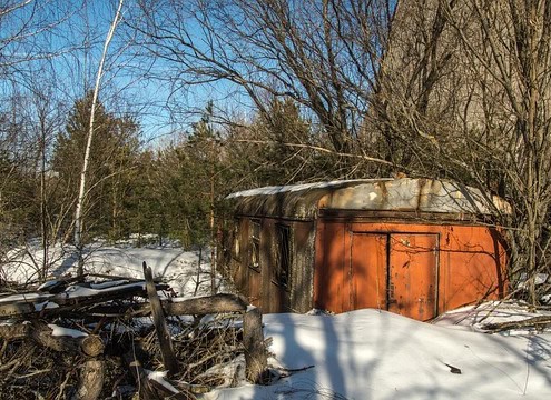 broken trees in winter storm